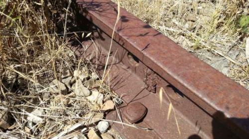 barossa valley gravel cycling