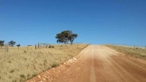 barossa valley gravel cycling