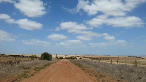 barossa valley gravel cycling