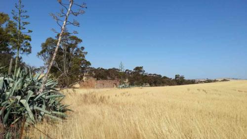 barossa valley gravel cycling