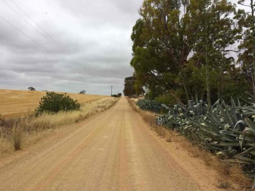 barossa valley gravel cycling