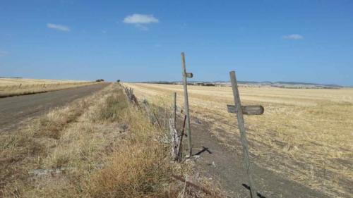 barossa valley gravel cycling