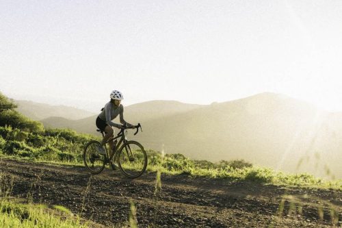 batch bicycles gb.1 review