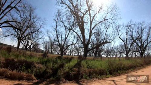 2022 dirty pecan