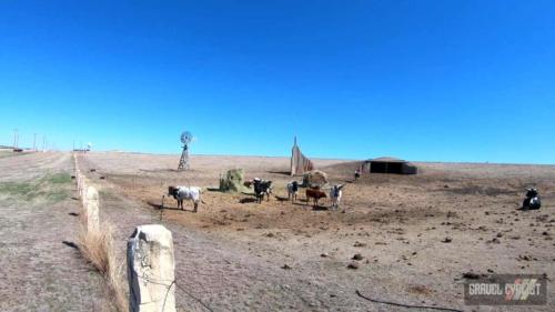 tour of dodge city kansas boot hill