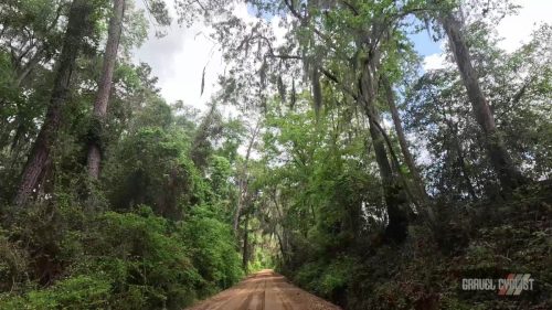 farm roads of southern georgia