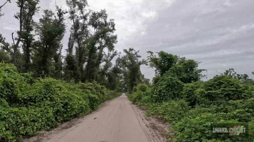 old florida roads lafayette county