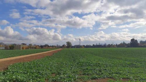 Greffelründsche gravel around frankfurt