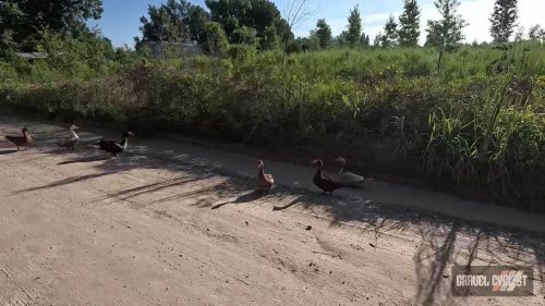 high springs florida gravel cycling