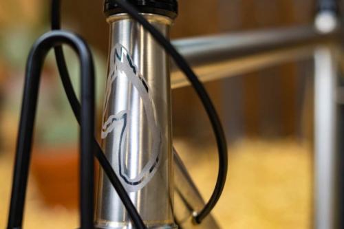 enve builder round-up show 2020 horse cycles