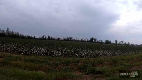 gravel cycling in georgia