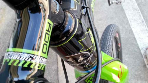 rocky mountain vertex 970