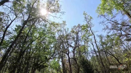 TricoliSwampClassicVideo2026-14
