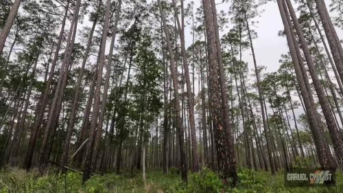 north florida gravel cycling
